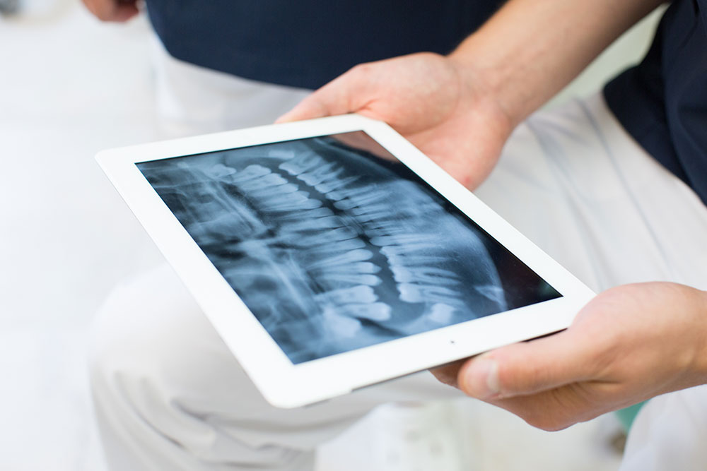 Zahnersatz Giesing - Dr. Koenigsfeld - digitaler intraoraler Scan auf dem Tablet